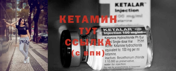 трава Наволоки