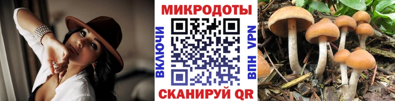 Галлюциногенные грибы прущие грибы  купить наркоту  Нолинск 