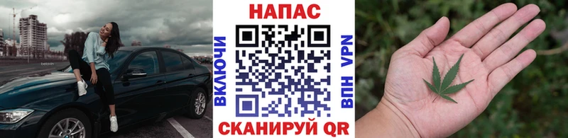 Каннабис Amnesia  сколько стоит  Нолинск 